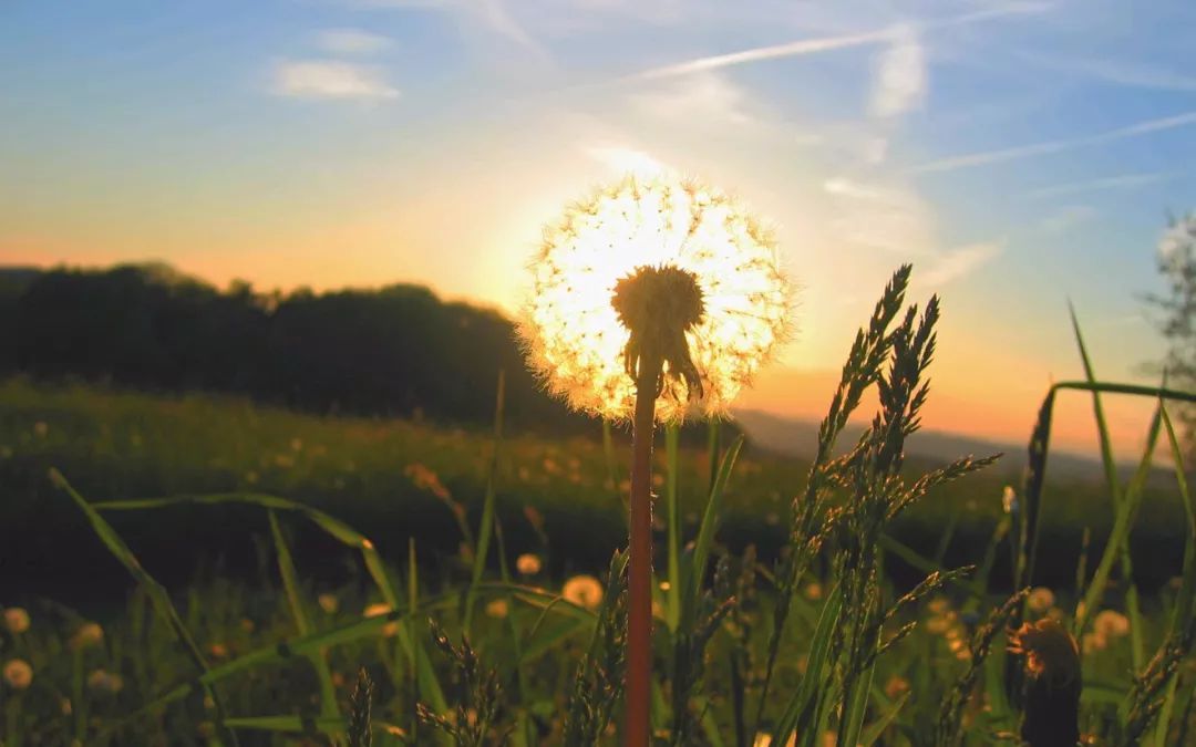 遇见小媛|真正喜欢一个人,是想结婚的:陈露,请学会及时止损