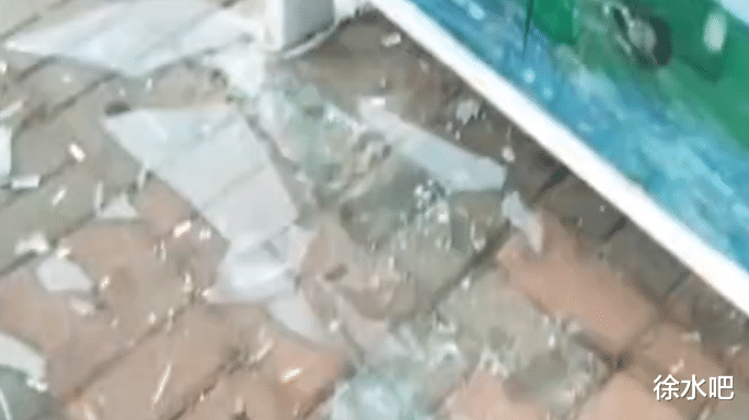 徐水吧 保定:熊孩子惹众怒,看看他都干了啥?