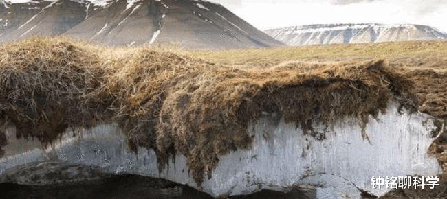 抗体 北极“高烧”不断，史前生物遗骸接连出现，冰封的病菌或将苏醒