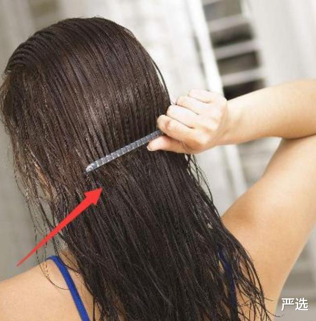 洗发水|头发刚浸湿就涂洗发水？难怪头油严重还掉发！教你正确的洗发方式