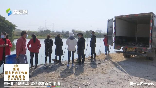 惠州电视台hztv 合同到期后拒绝搬迁 养鱼户被断电损失惨重