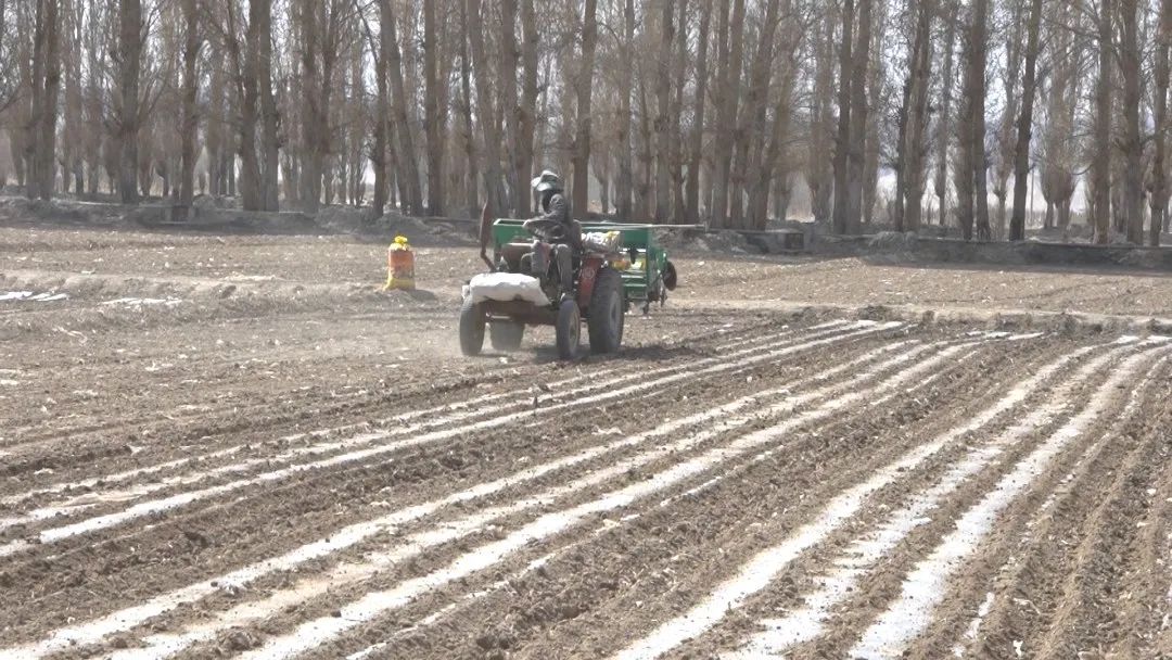 阿克塞县融媒体中心 三春生产：我县抢抓时节春种全面展开