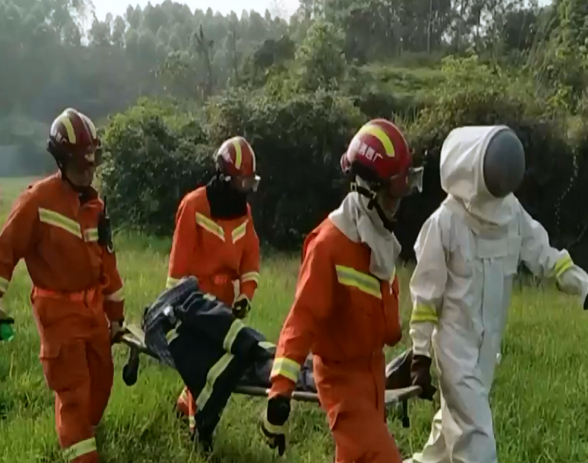 社情汇编 同一家族7人上山扫墓，捅到马蜂窝4人被蜇伤，1人被蜇晕在地