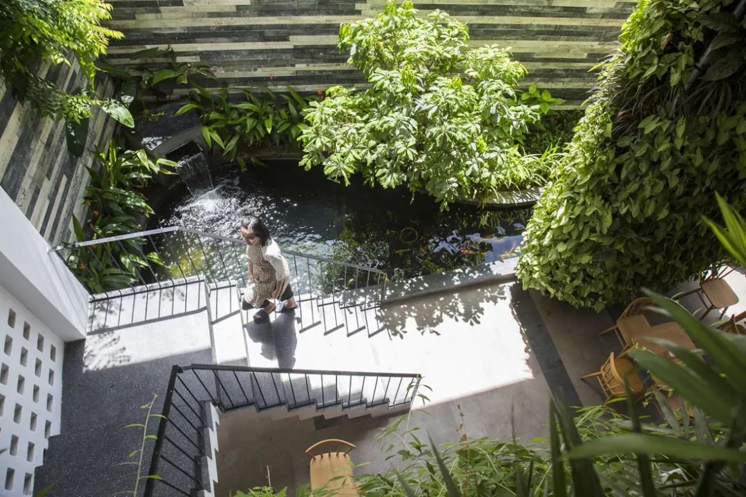 儋州|头一次见过家里做下沉式庭院，比传统庭院美100倍，太羡慕了！