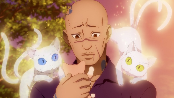 孤單又燦爛的神|《看得見的女孩》百合川華的生命能量有什么用，有哪些種類？