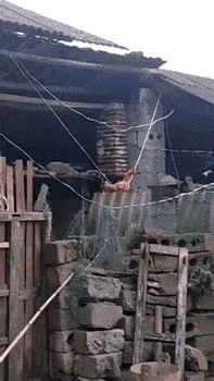 萌控孩|终于嫁给闺蜜的儿子，电视剧都不敢这么演吧？太尴尬哈哈哈