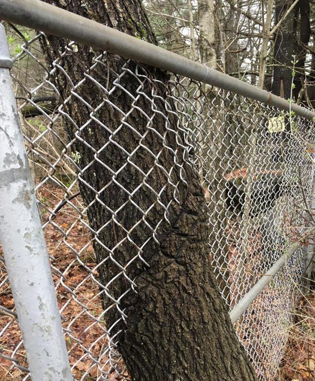  大自然的力量有多大？15张图看清，在自然面前，人类文明太渺小了