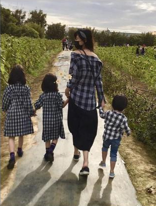 |明星离婚，李连杰一分不要，焦恩俊人财两空，最惨的是贾静雯