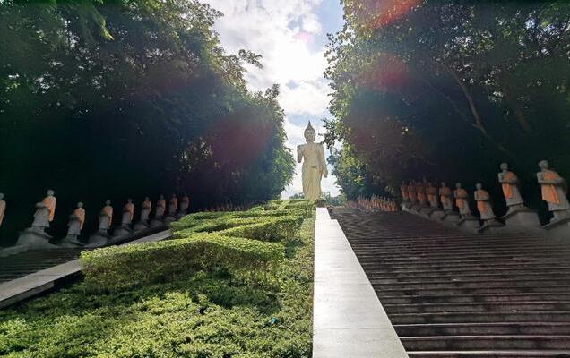 自媒体|想在自媒体赚钱的来看看，一个割韭菜和菜鸟的故事，让你感悟深刻