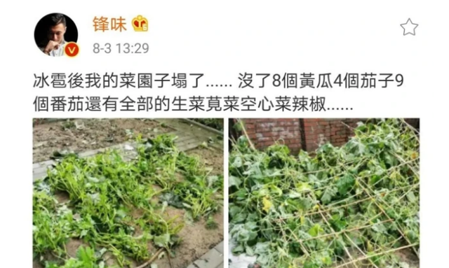 吴亦凡|谢霆锋晒王菲视角视频，暴雨中给菜地打伞被指做作：连儿子都不管