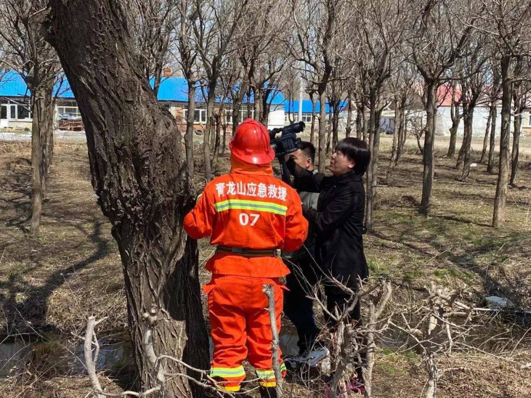 聚焦青龙山 猫头鹰成为青龙山农场常住“居民”