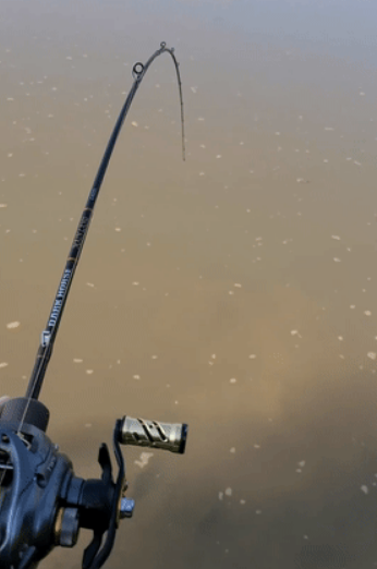 广州市|广州钓友钓起镇河之宝？30斤巨鳖转手卖掉 网友: 镇河之宝才1200？