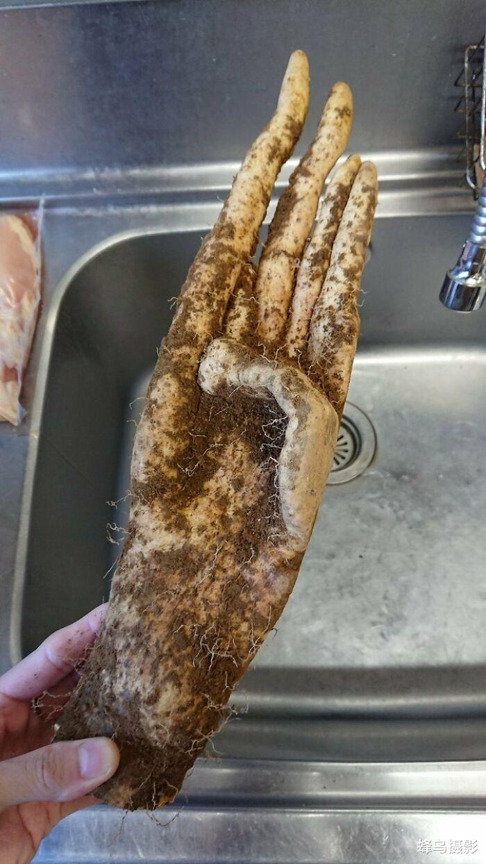  40张一眼会看错的照片，图3至少看三遍否则看不懂，大脑欺骗了你