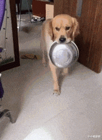 |给你五百万你选哪个？第一恐怕没人会选吧！哈哈哈哈