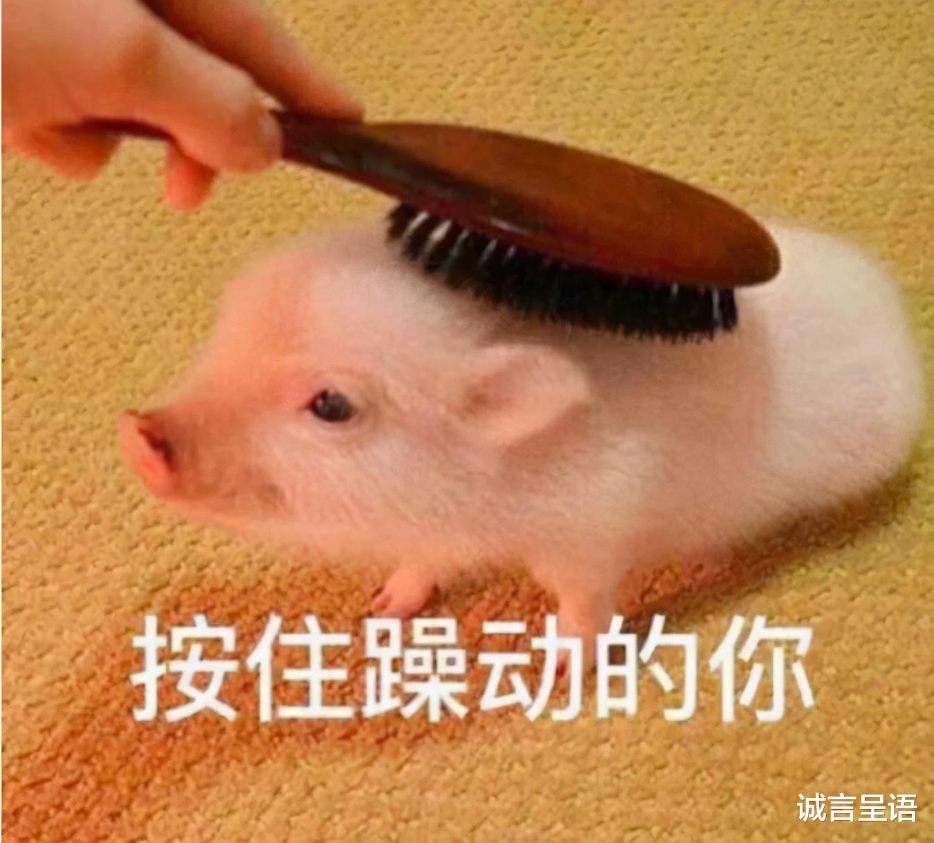 |男生不愿娶的女生职业排行：销售未进前三，榜首实至名归