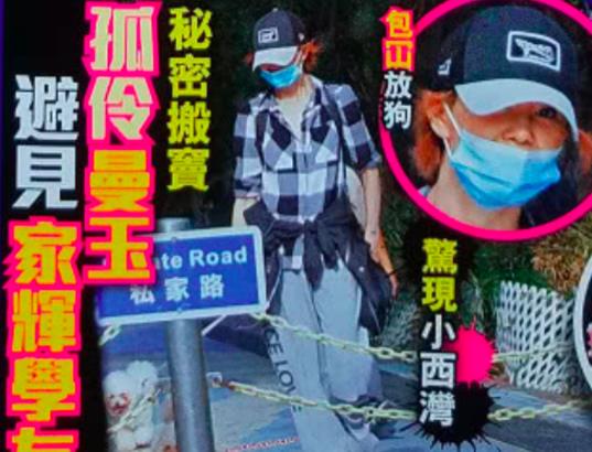 刘銮雄|张曼玉：情路坎坷，至今仍然单身，57岁与狗作伴