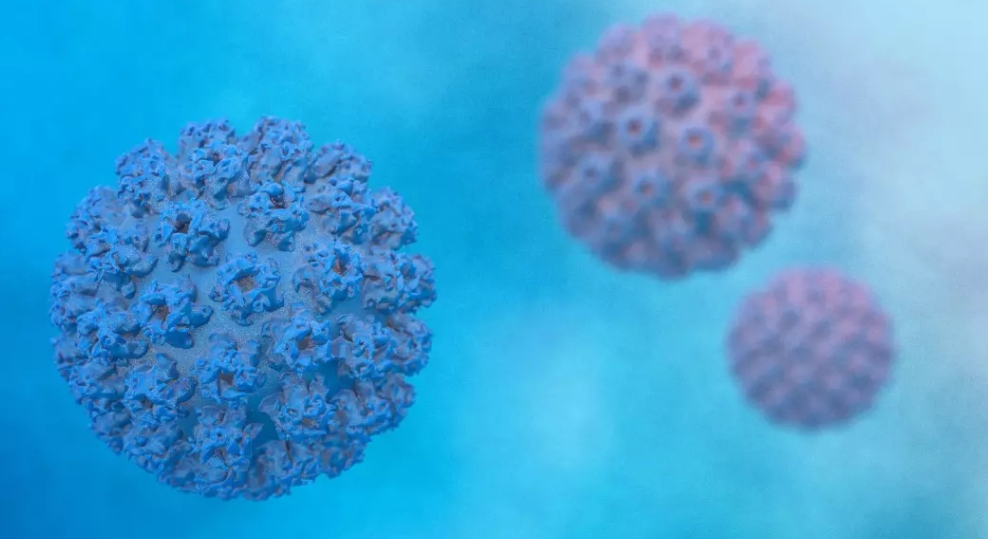 医生|妻子染HPV不自知,1月后丈夫满身疣体,为何男人更严重?听医生怎么说