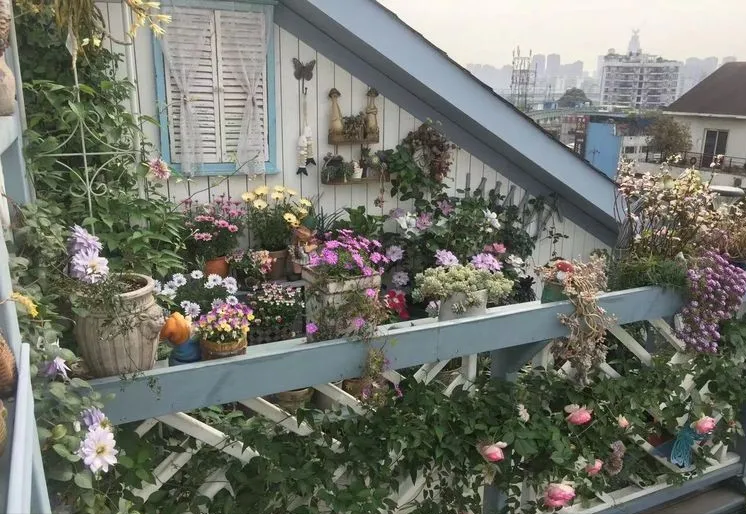 6年前，不顾反对买了带60㎡屋顶露台的房子，建成空中小花园真的美