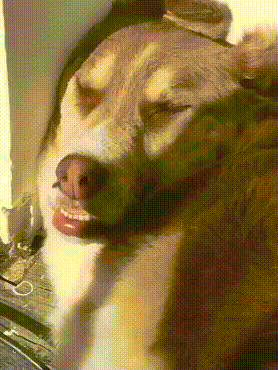 学姐说育儿|“小仙女的脚丫子,原来长着样啊?”终于窥见真容了哈哈哈