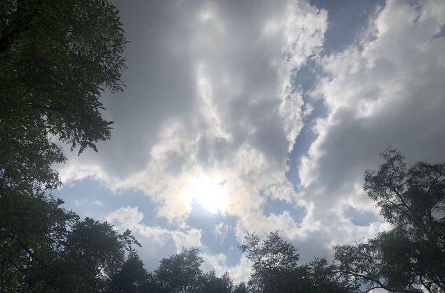 处暑 处暑将至，老话说：“处暑不出伏，必定是灾年”，啥意思？