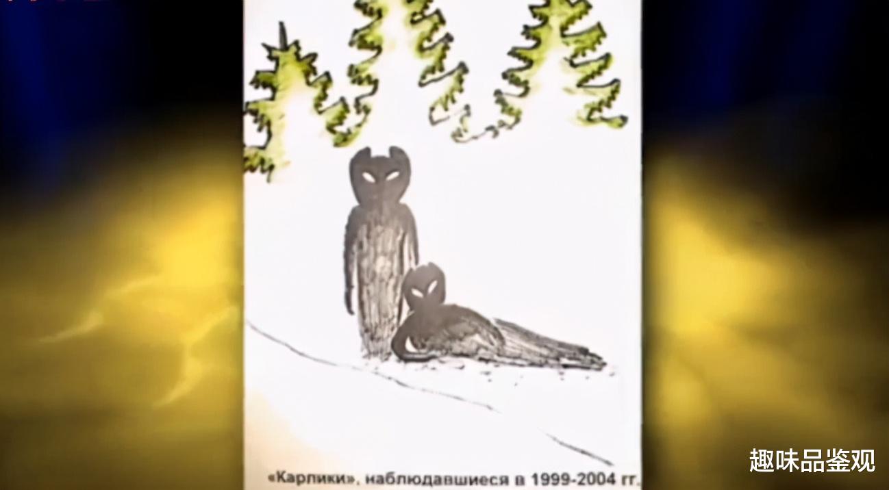 外星人 外星人阿廖申卡事件3：外星人拦截女子，索要村庄出现的未知生物