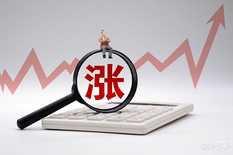 涨停 严重低估的高端材料龙头：一季报业绩预增超300%，投3亿升级项目