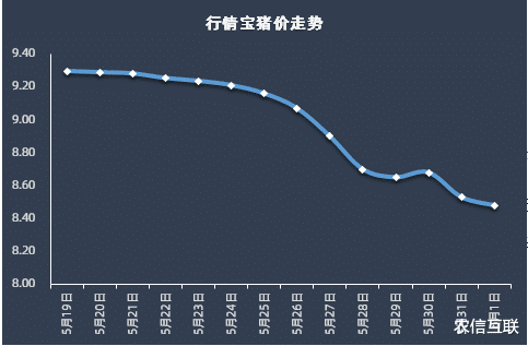 比特币 2日猪价大跌53%,养猪全面亏损,养猪业寒冬已至!