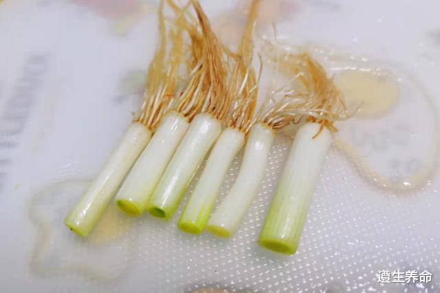 薄荷|冬季,梨和它是绝配,每天坚持喝一次,喉咙舒服不咳嗽