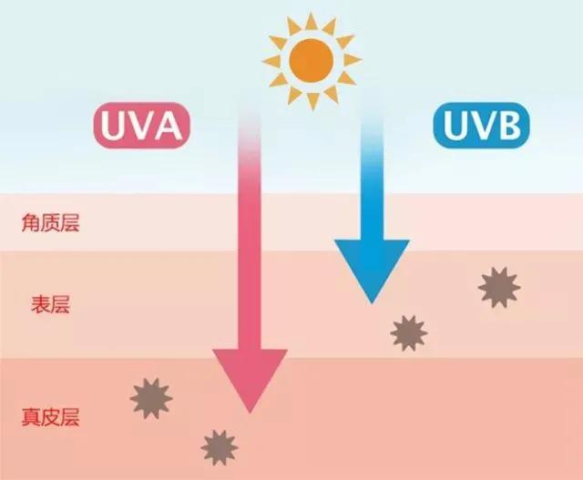 医美|秋季适合做哪些医美护肤项目