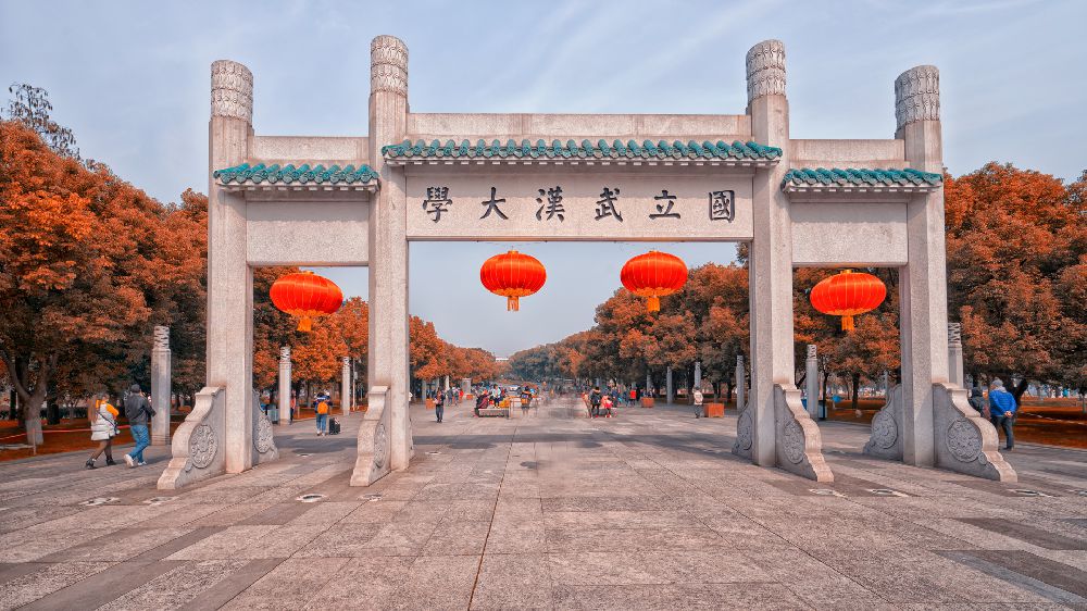 武汉大学|这是武大排名亚洲第一的专业，拥有六位两院院士，录取分数却很低