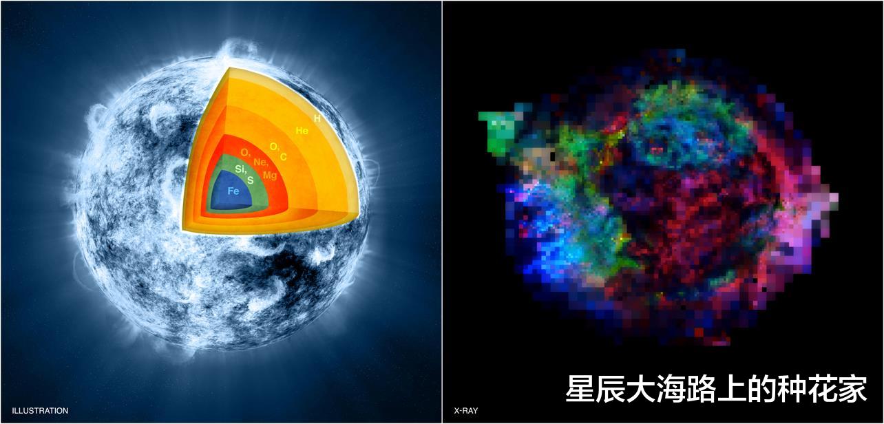 为何恒星聚变到铁就停止了?宇宙中比铁重的元素又是哪来的?