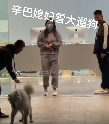 谢霆锋|网红辛巴妻子低调露面，身材臃肿包裹严实，穿10万名牌只为遛狗