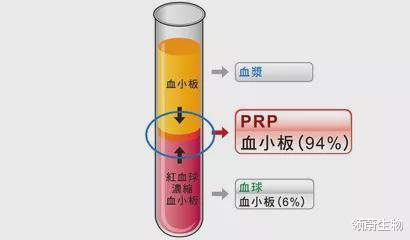 领蔚生物|刘若英治疗膝盖用的是干细胞吗？