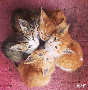 美人阁 大哥,这智商就告别用剑吧哈哈哈