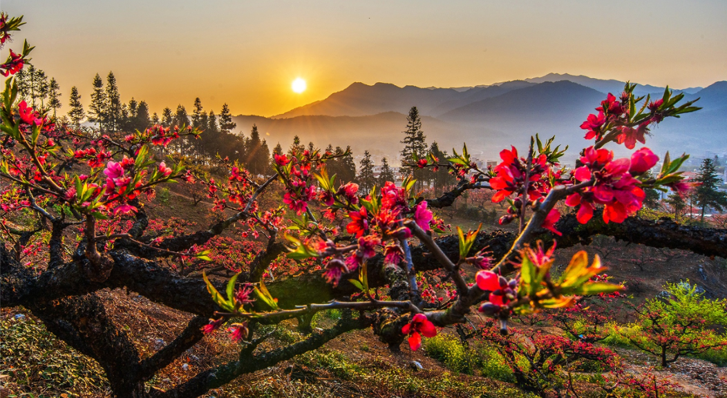 酒吧 数艺网转-用一块屏幕活化酒吧空间 TECHMORE