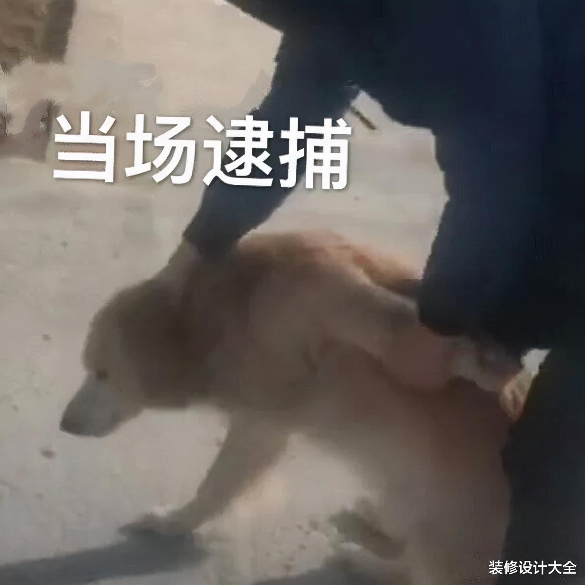 楼上邻居“野蛮”装修，楼下房顶被凿穿，搁谁谁不气！