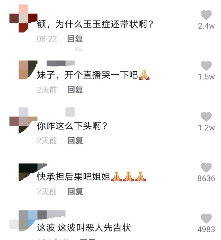 二次元|原告变被告，被告变被执行人，小慧君的故事，比电影剧本更狗血