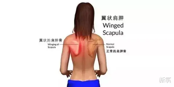 白秀珠|刘亦菲的童年照被扒出，这是豪门千金白秀珠本珠吧！