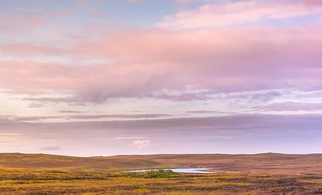 姐姐|3.15-21十二星座事业运，天蝎收获工作成果，双鱼职场人缘不错