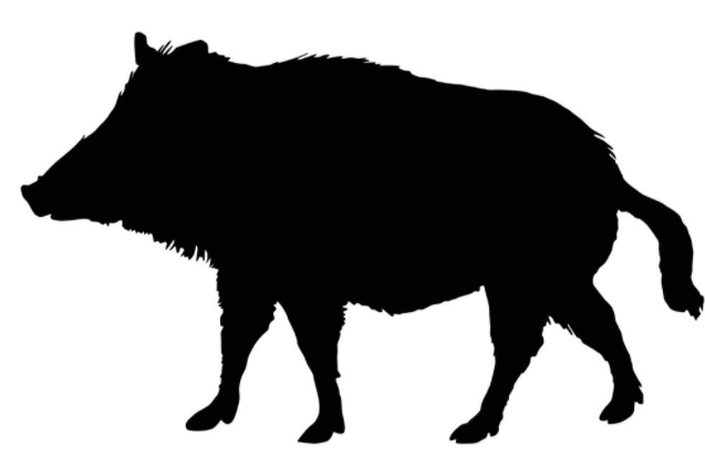 热血传奇|热血传奇：最惨的BOSS，被击杀成濒危物种的憨憨