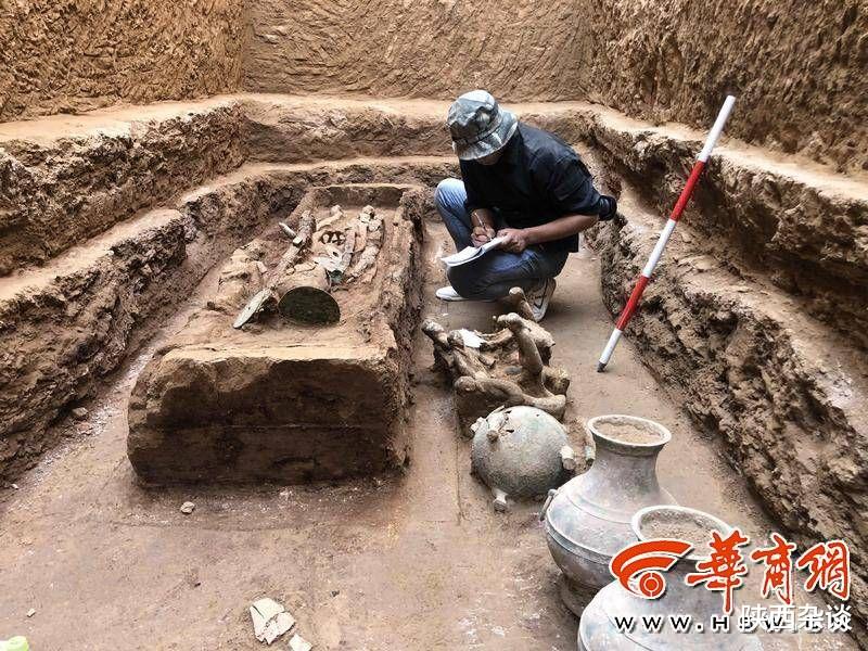 陕西杂谈 满满一仓粮！泾阳大堡子墓地墓主叫“葽奢” 是“小康之家”