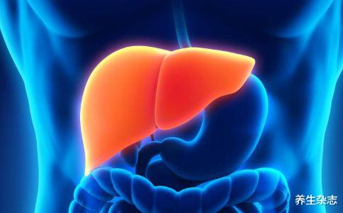 羊肉|肝不好的人不能吃羊肉？医生：不止羊肉，3种食物也伤肝不浅，尽量少食