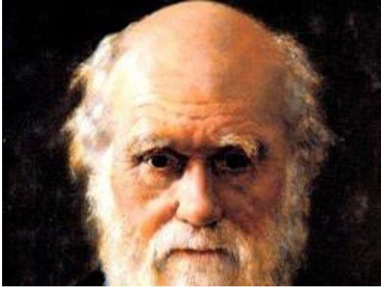 鲸鱼 进化论之争六个焦点:达尔文晚年推翻进化论