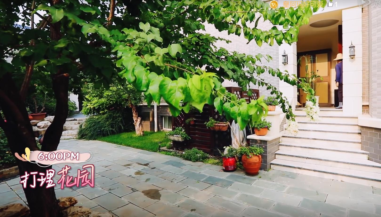 张国立|郑爽事件有多可怕！张国立深夜发动态惹众怒，价值2亿的豪宅被曝光