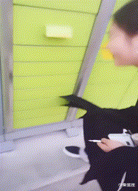 小秦星座|搞笑GIF：被我的队友坑了