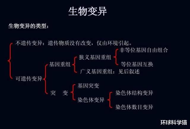 鲨鱼 意大利出现变异、“非地球”生物?猪脸、鲨鱼身!原来是尖背角鯊