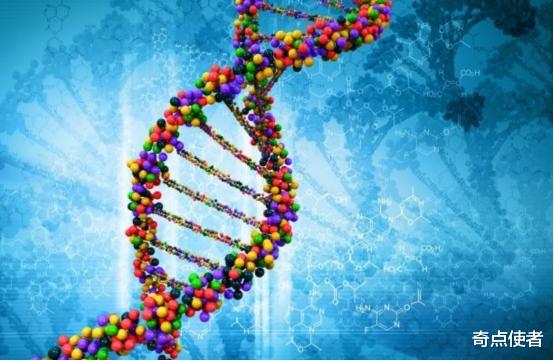 北斗导航 侏罗纪世界要来了？我国科学家疑在恐龙化石中发现DNA，却被质疑