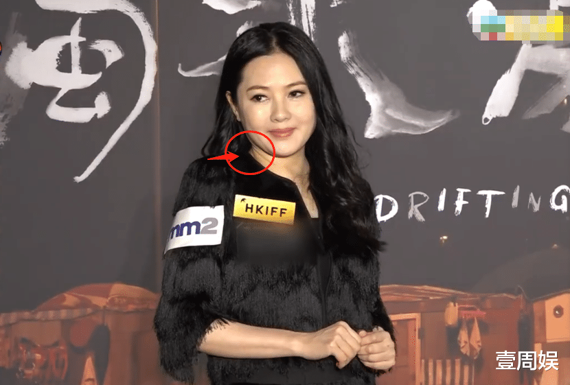 颜丹晨|55岁李丽珍近照曝光，身材发福颈纹明显，因情史丰富无人敢娶！