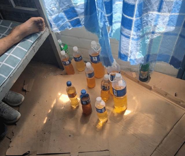 应届毕业生|“好像知道成吉思汗能干到欧洲的原因了！中间那人一米八！”哈哈哈