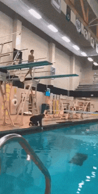 |搞笑GIF:老师是职业选手吧